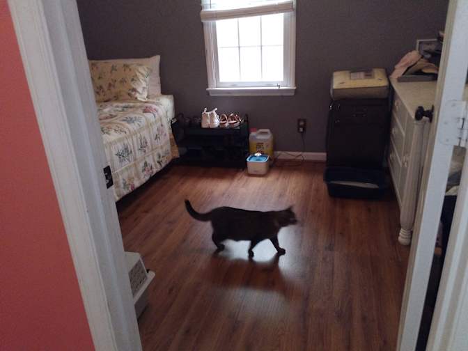 Bethany's room