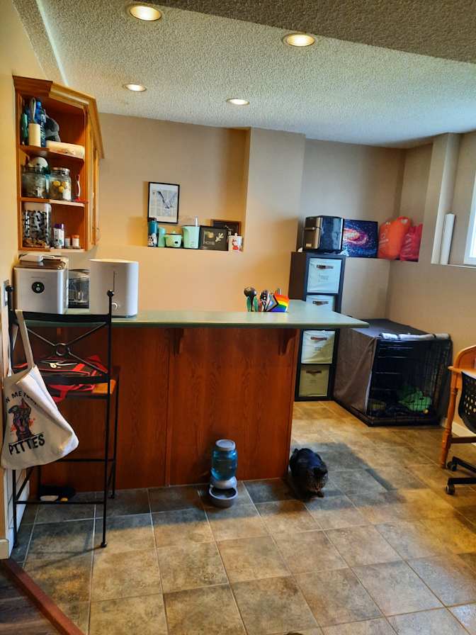 Elizabeth's room