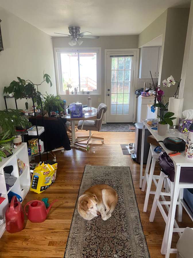 Enoch Adams's room