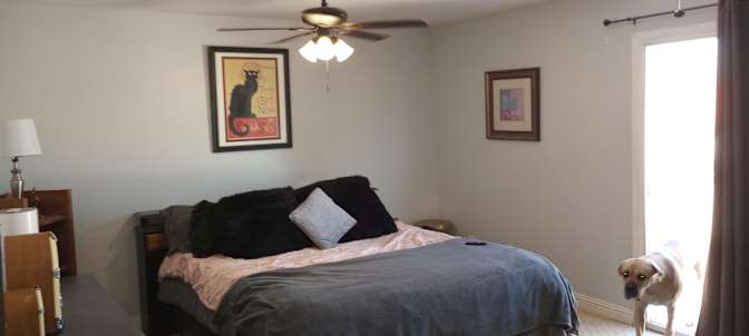 Joseph H Collins's room