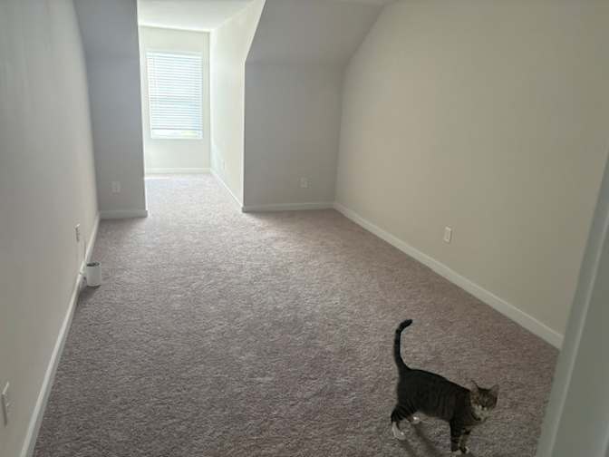 Daniel's room