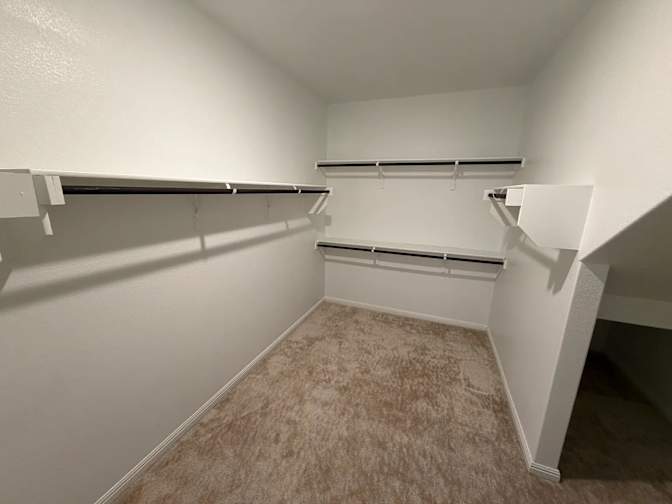 Alex's room