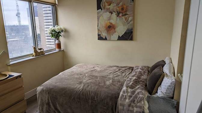 Shane's room