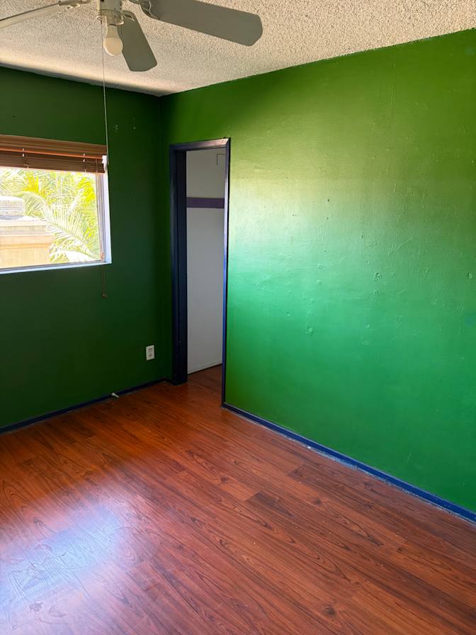 Elan's room