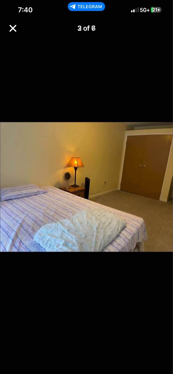 Maryam's room