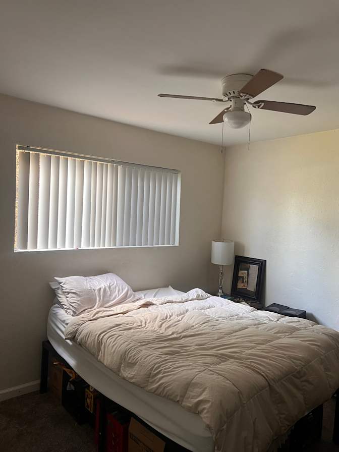 Timothy Mapes's room