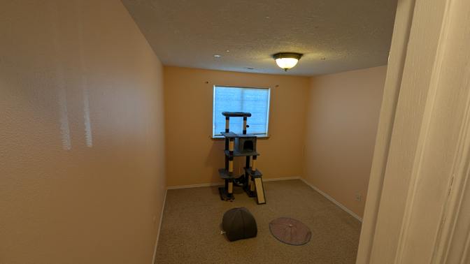 Seth's room