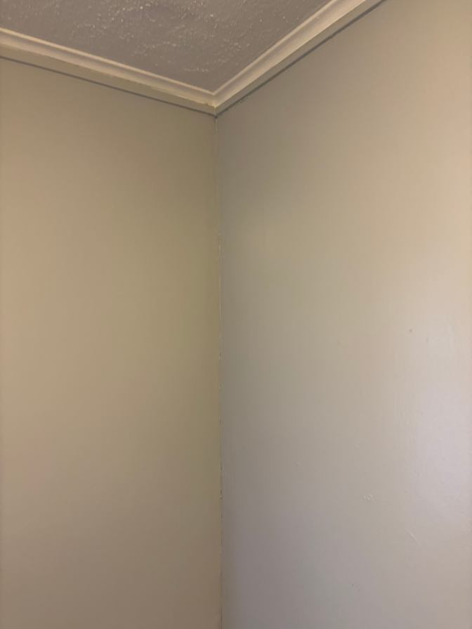 rose bourque's room