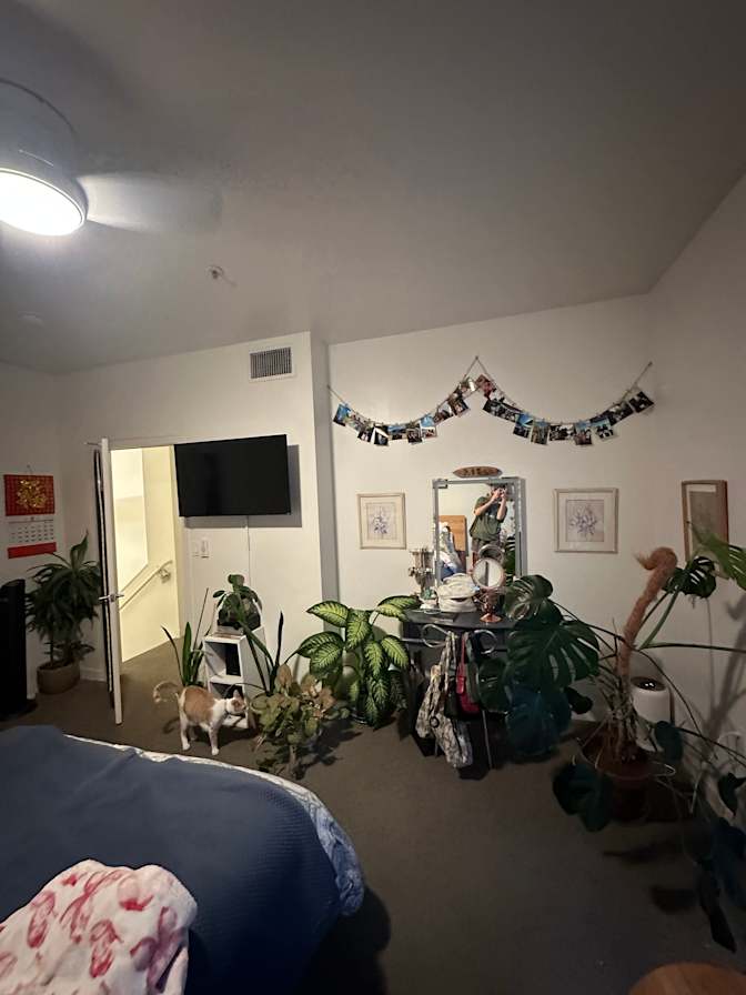 Abby's room