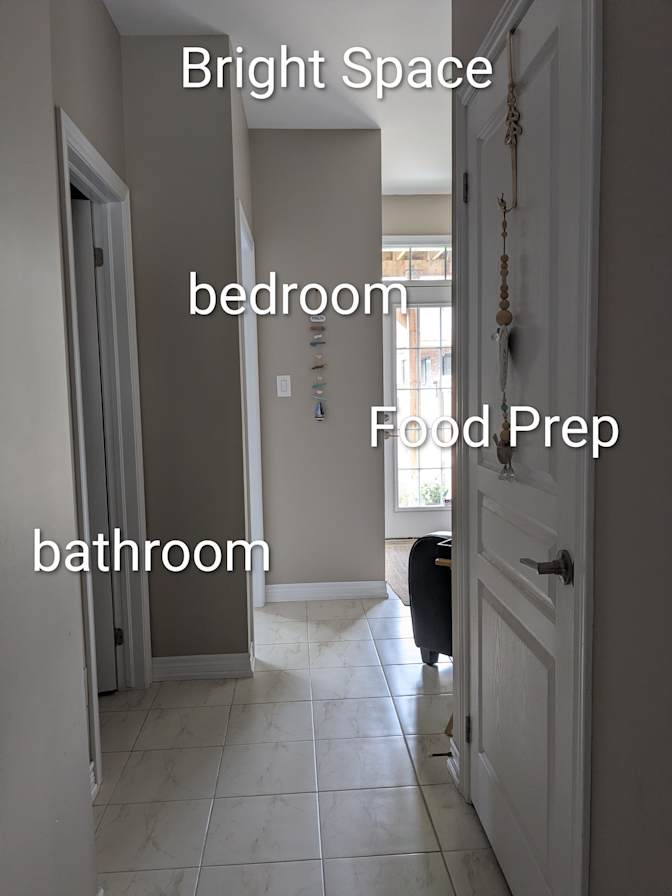Susan's room