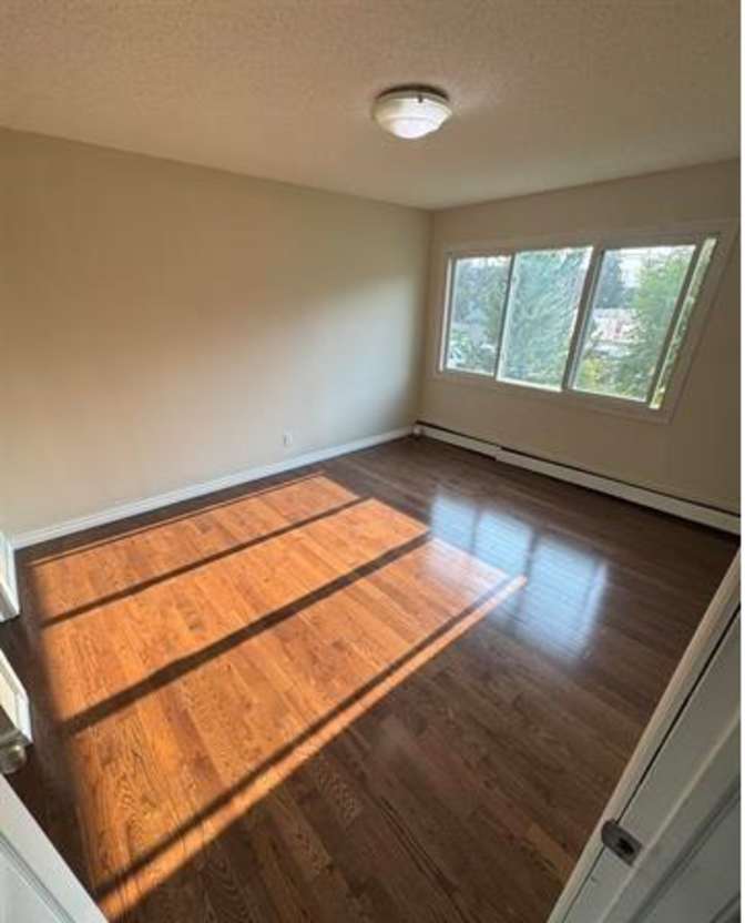 Todd's room