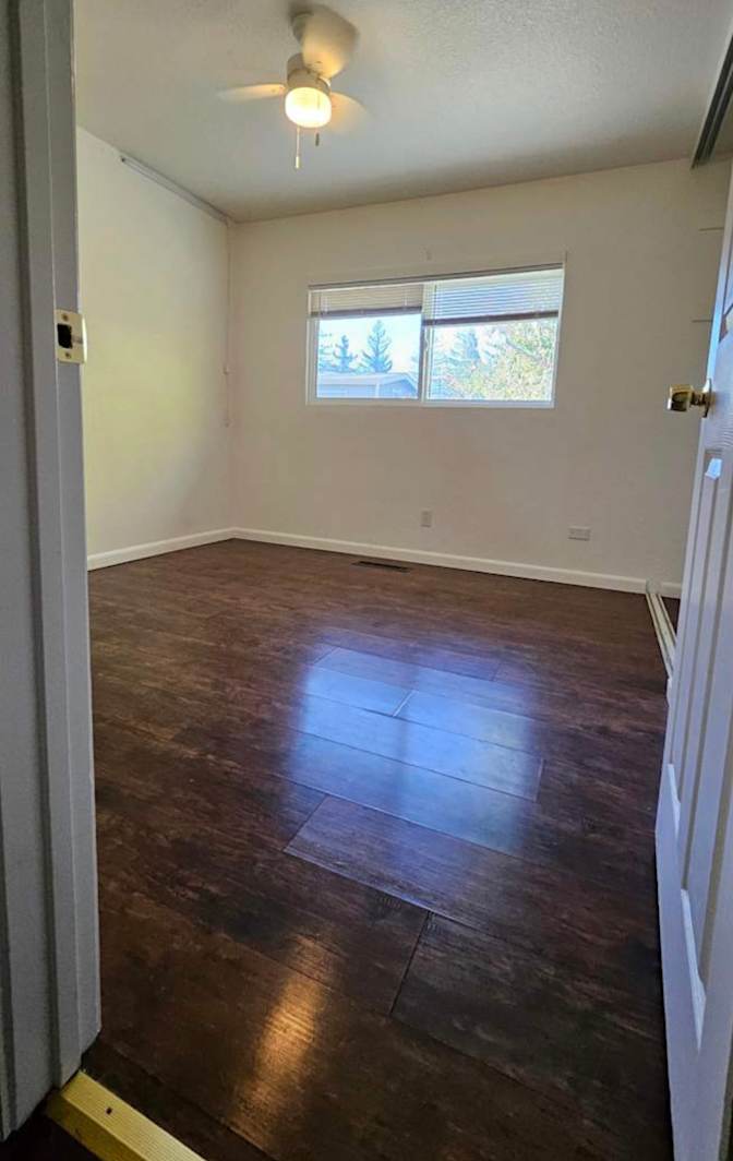 Mitch's room