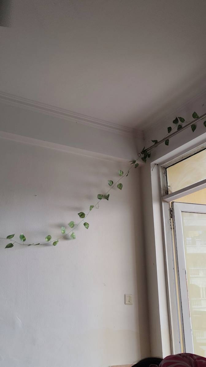 Vidushi's room