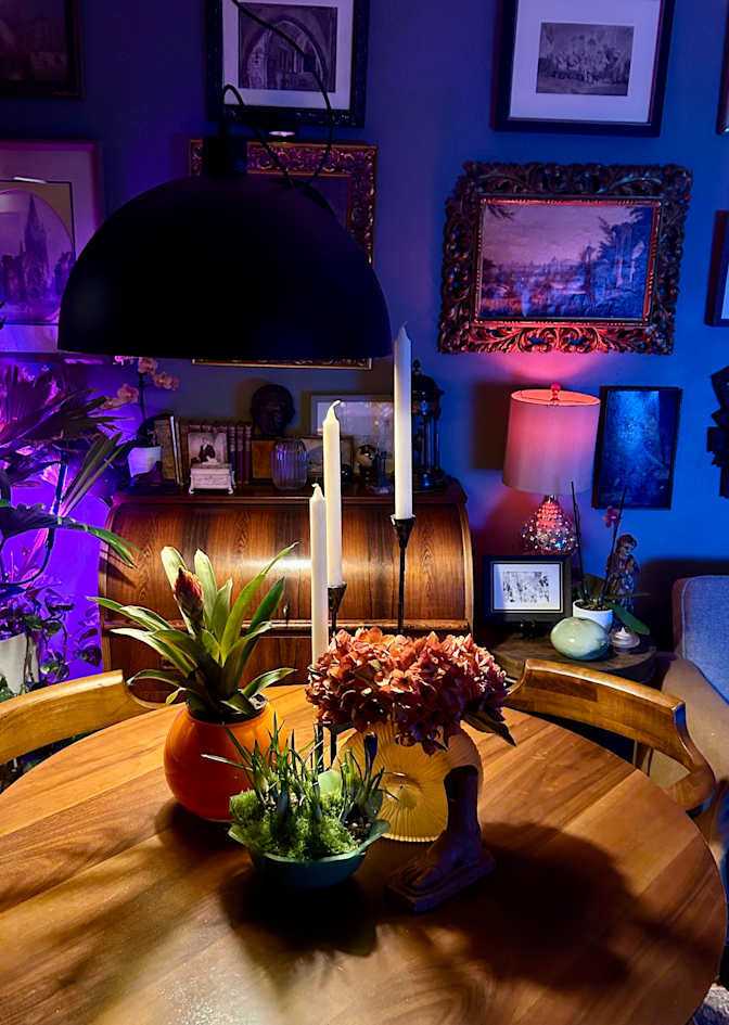 Stuart's room