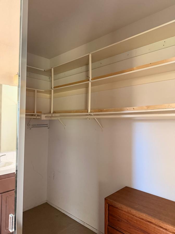 Amy's room