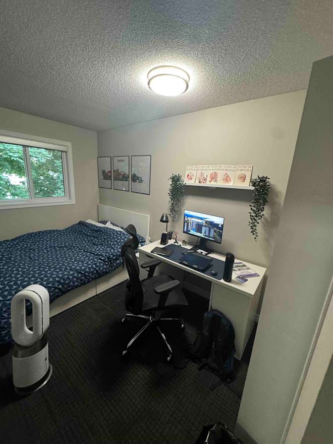 Anton Slotin's room