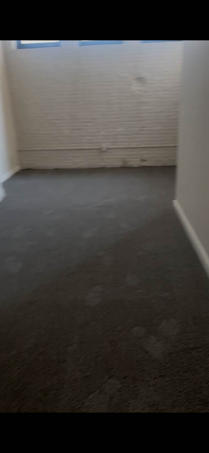 Yanni's room