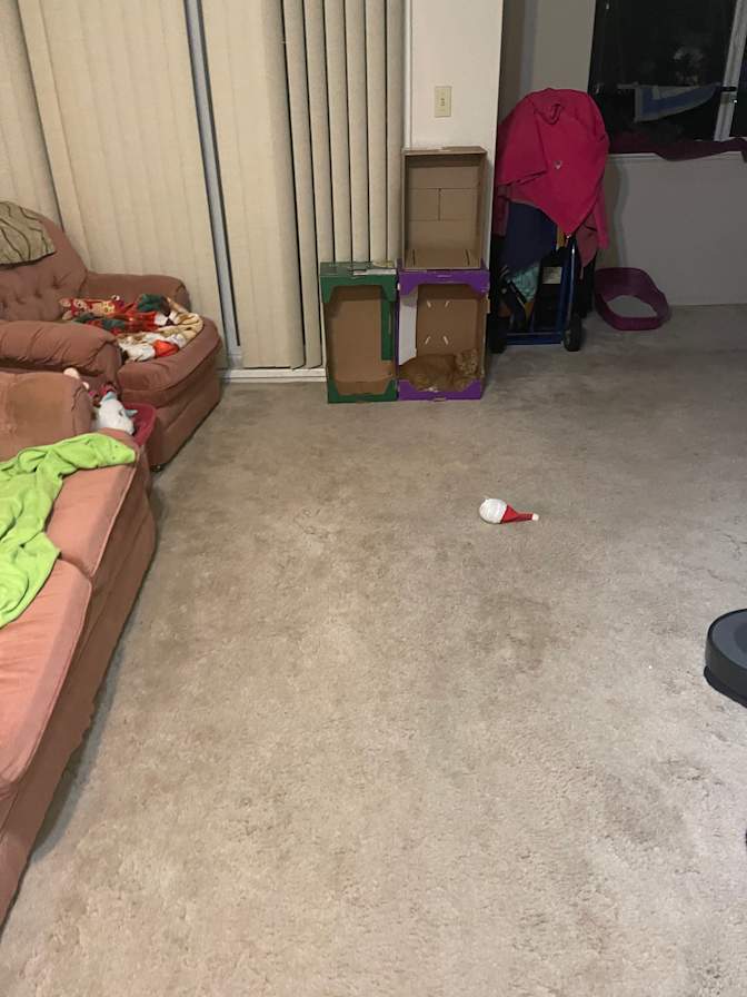 Paula's room