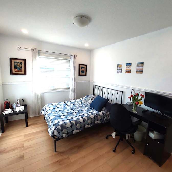 Nikoo Zohadi's room