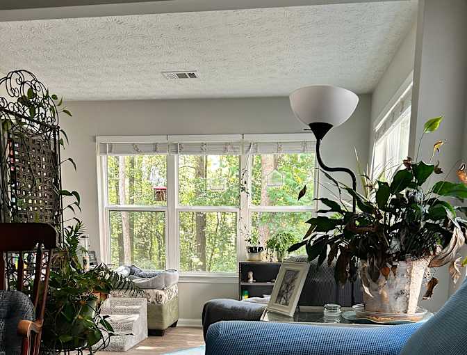 Christie's room