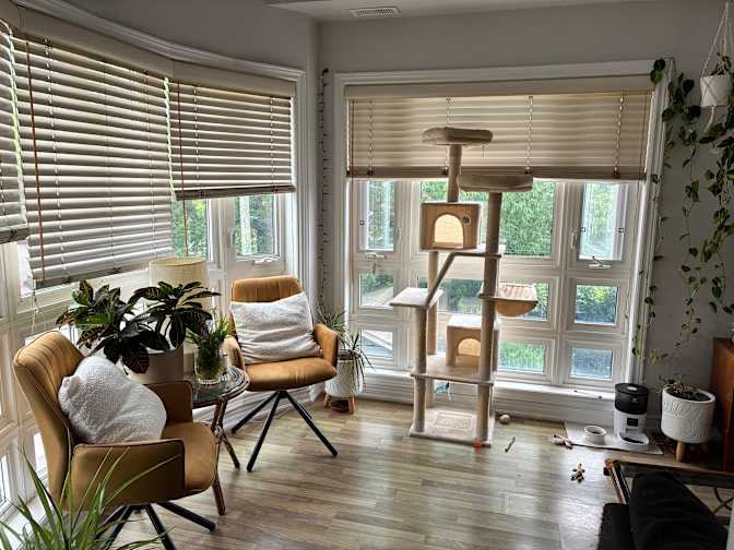 Lucy McCulloch's room
