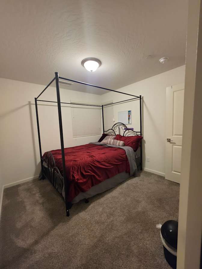 Cecilia's room