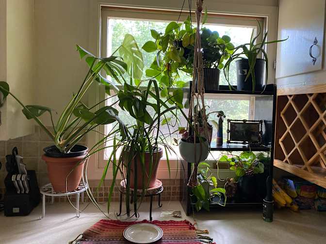 Gwyn's room