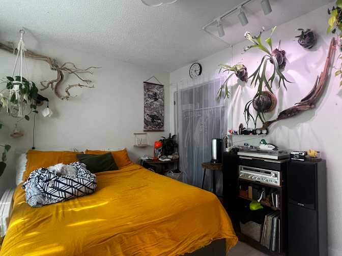 Joan's room
