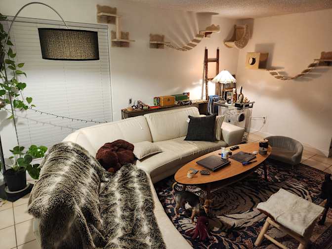 Andrew's room