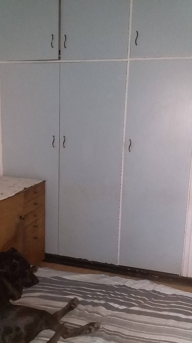Ally's room