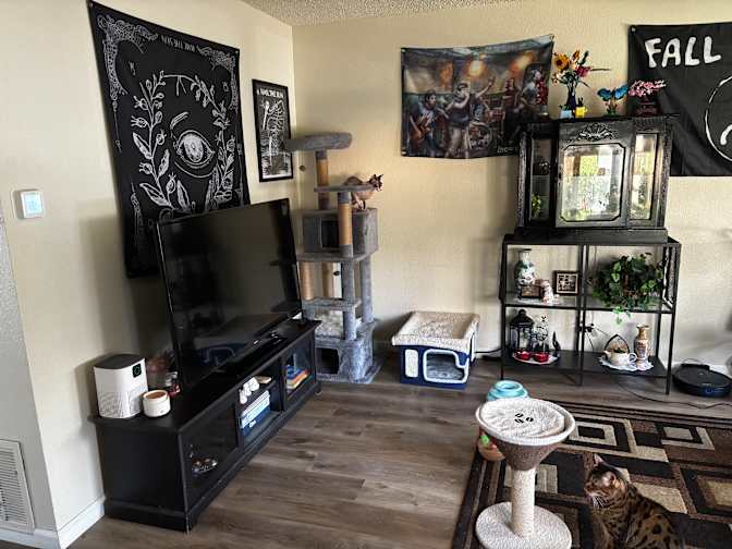 Mikaela's room