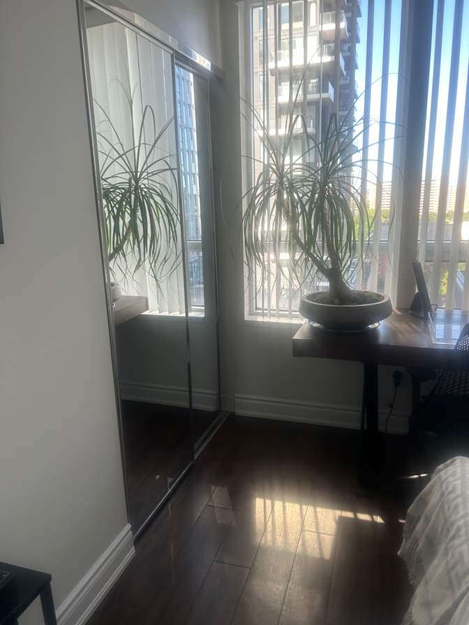 Robert Peach's room