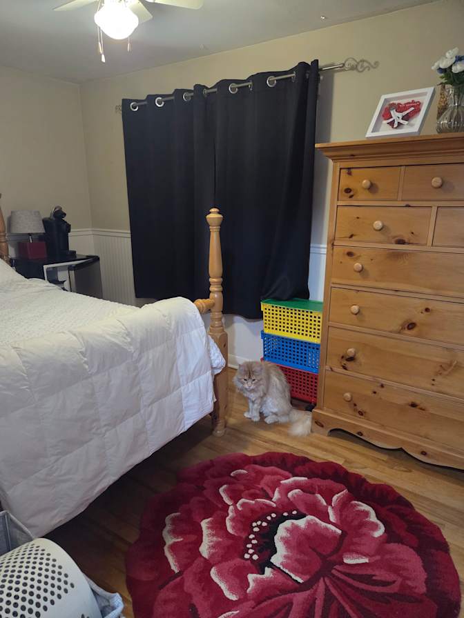 Mary-Sue Hart's room