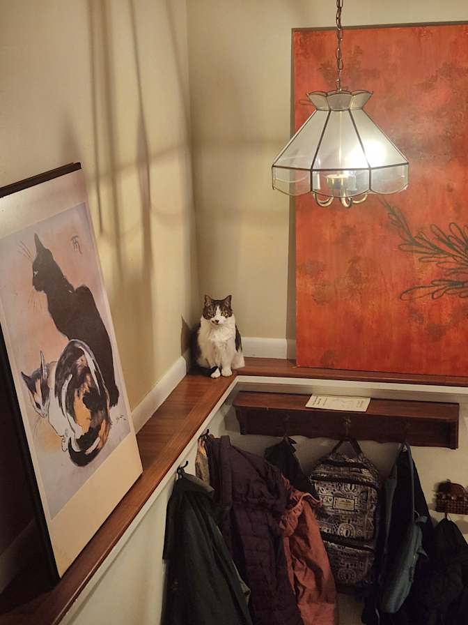 Alina's room