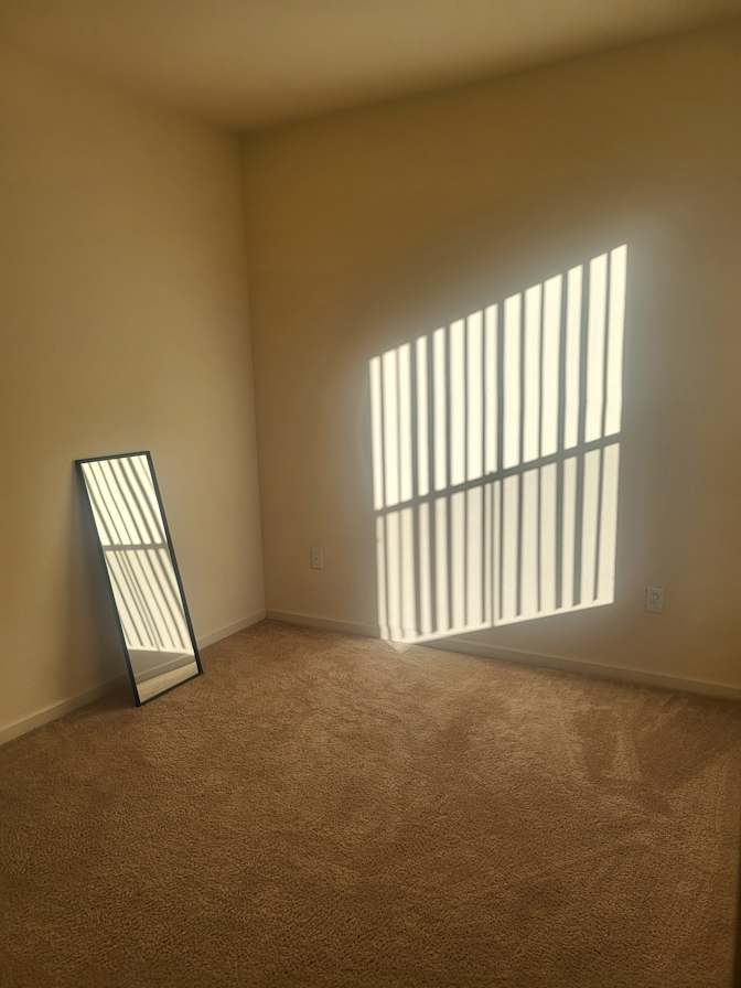 wellvita's room