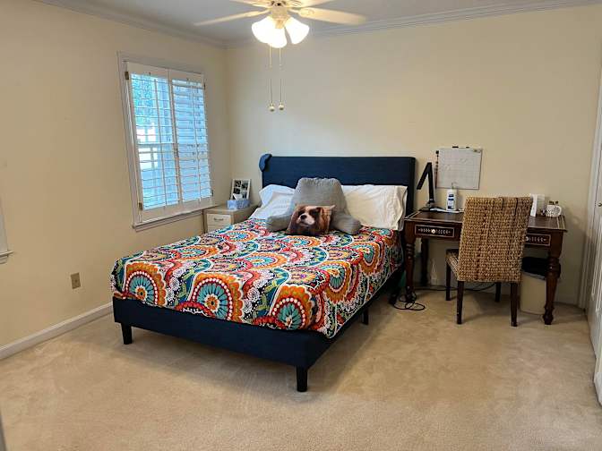 Dani's room