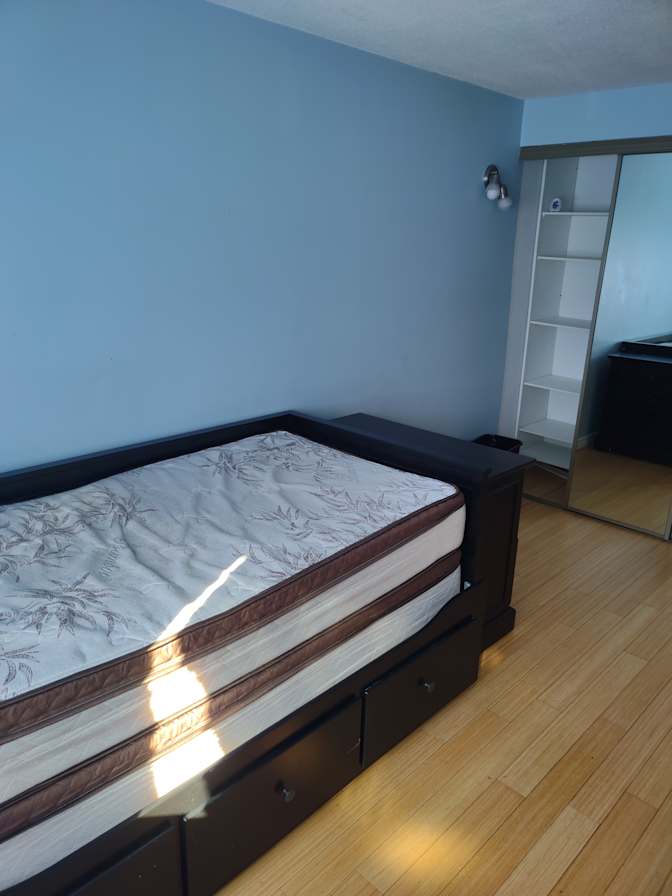 alexis and Nawal's room
