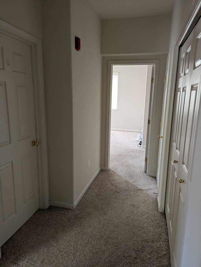 Noah's room