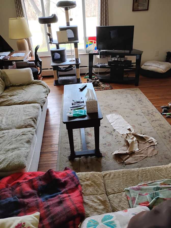 Stephen Tomasella's room