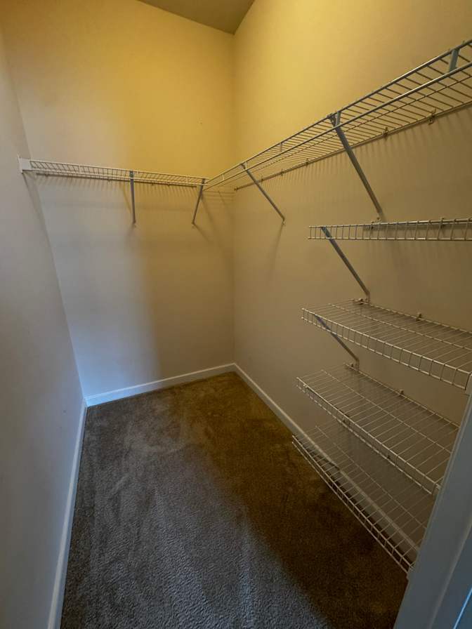 Veronica's room