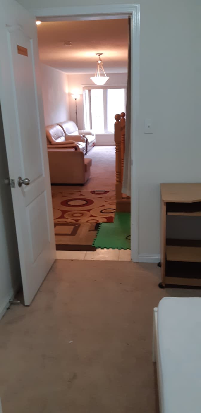 Shaheen's room