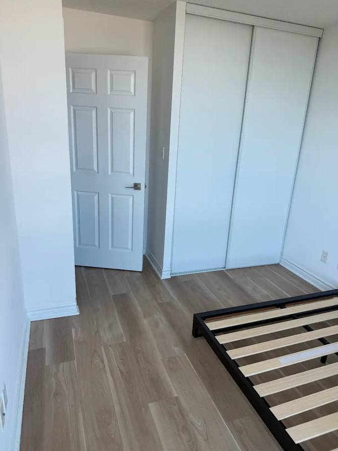 Mushfique Pavel's room