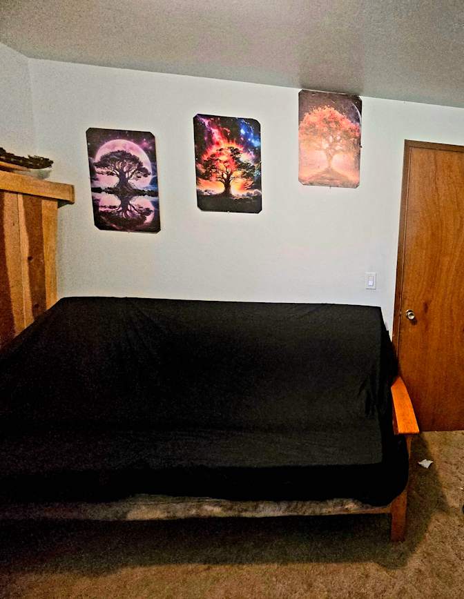 Lisa's room