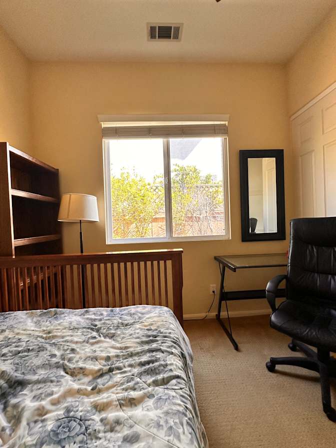Sholeh's room