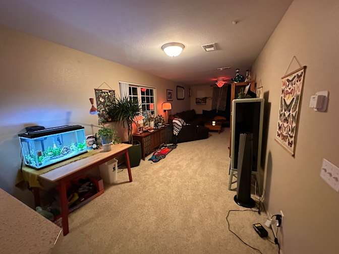 Dawson's room