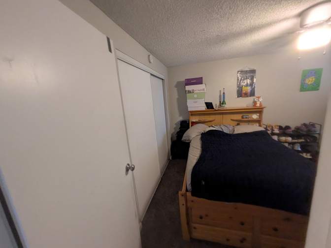 Owen's room