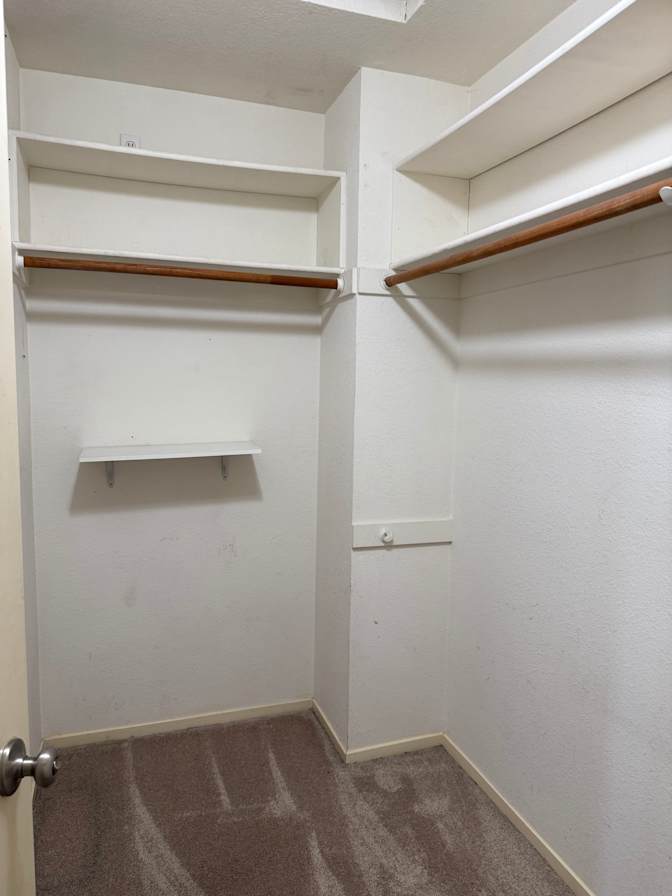 Alondra McConnell's room