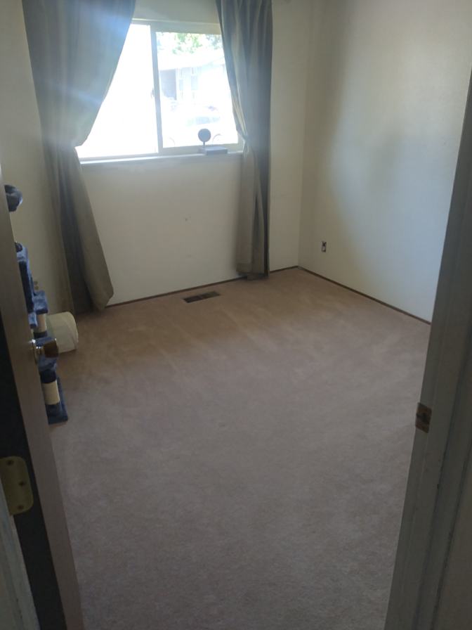 Alexander's room