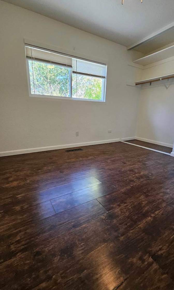 Mitch's room