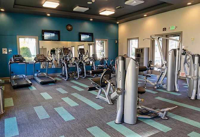 wellvita's room
